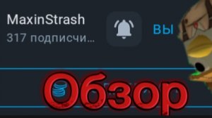 Обзор на «MaxinStrash»