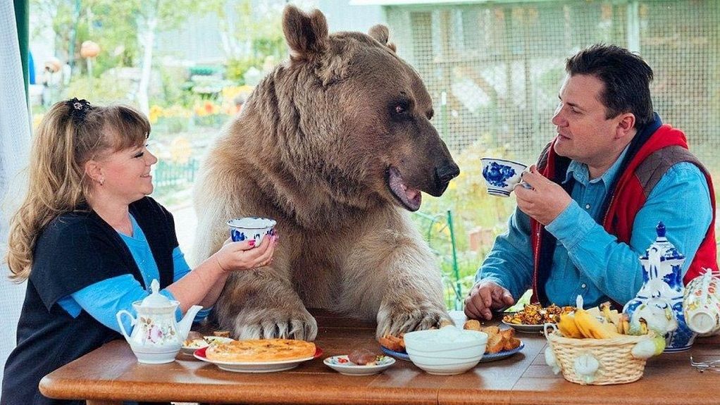 РАССЛОЕНИЕ В ЖИВОТНОМ МИРЕ. О переходе животных вместе с Землей в Пятое измерение