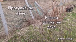 Начало убоки на даче.  Клубнику почти облагородила