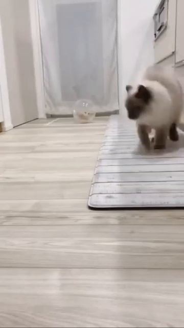 Не гоняйте, пацаны.