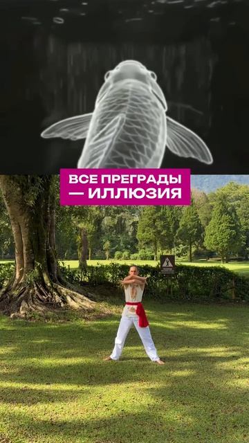 Все преграды - иллюзия
