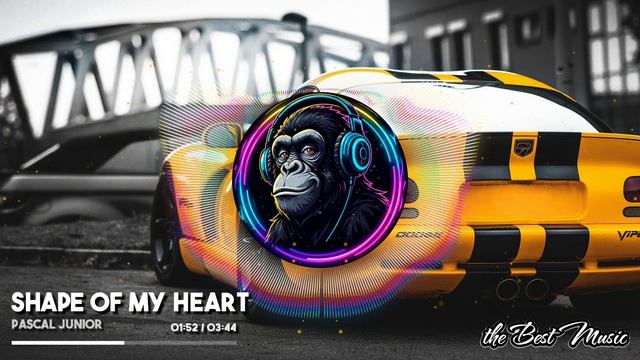 Shape Of My Heart - Pascal Junior