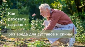 Грядки без боли. Дача в радость. Как работать на грядках без боли в спине и суставах