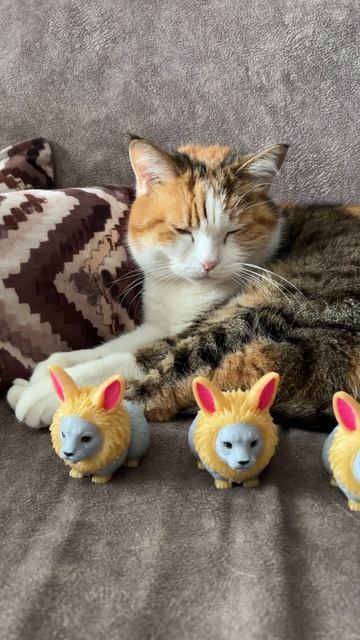 ЧЕРЕМША ДОМАШНЯЯ Артикул на ВБ: 996998655 #черемша #ссср #неспеша #советскийсоюз