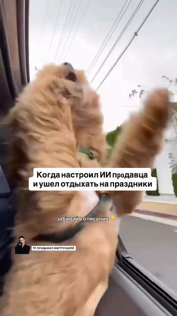 ✅ Протестируй бесплатно ии продавца для своего бизнеса здесь: Https://t.me/unisalesmen_bot