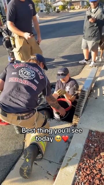 Самое доброе, что вы сегодня увидите