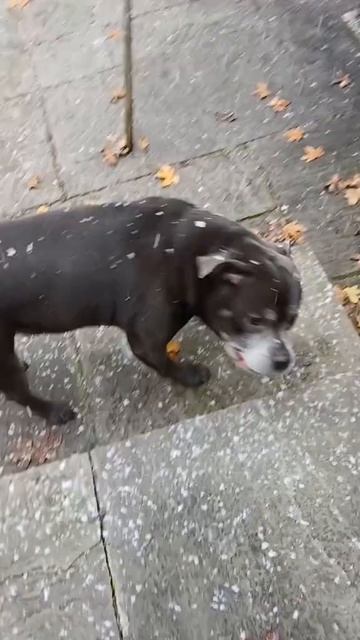 А кому-то снег в радость😄))