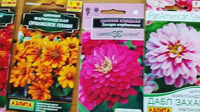 Семена цинний которые я буду выращивать в этом году