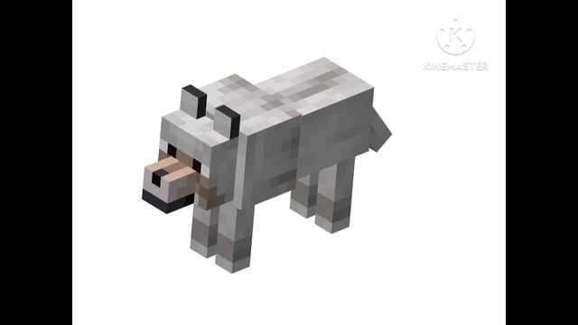 Wolf Bear English Version