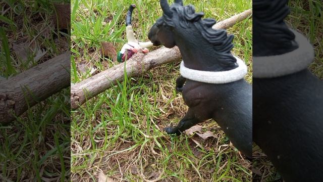 фото альбом с полей