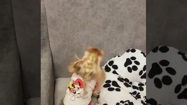 Моя собака 🐾🐾