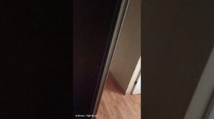 1000036714.mp4