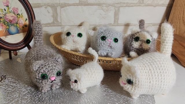 снова котики.