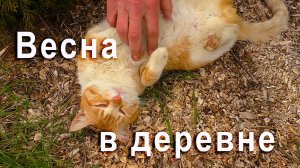 Весна и глоточек позитива! 😻