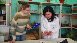 Урожай не как с картинки