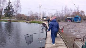 Фореливая рыбалка на 1-м Вип РК «Фишка Петряиха»