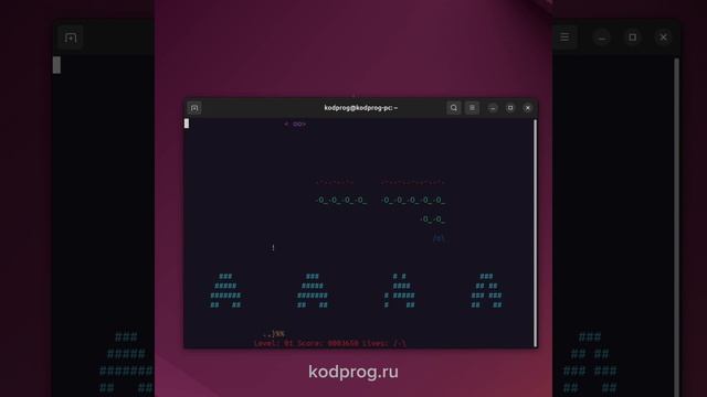 В терминале Linux можно играть