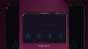 В терминале Linux можно играть