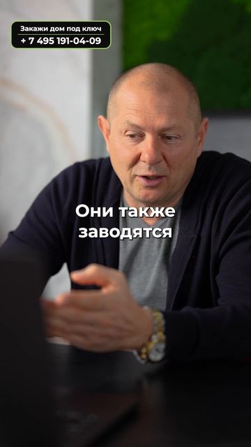 Мыши могут съесть твой дом?! Проверь ЭТО в своем жилье! #частныйдом #стройка #строительство