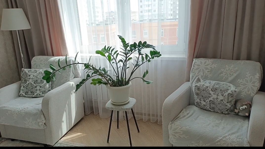 ЖДУ КУРЬЕРА. ГОТОВЛЮ ПОДАРОК ДЛЯ СЕСТРЕНКИ. И СЕБЯ ПОБАЛОВАЛА.