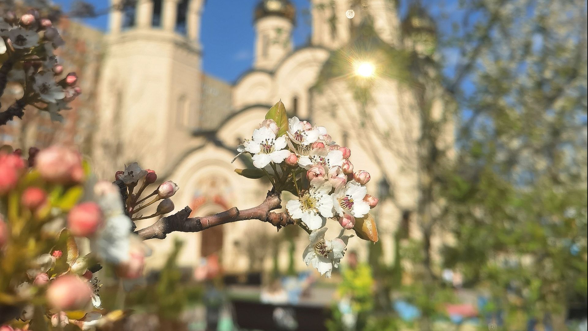 Память основателя иноческого общежития на Соловецком острове преп Зосимы 0