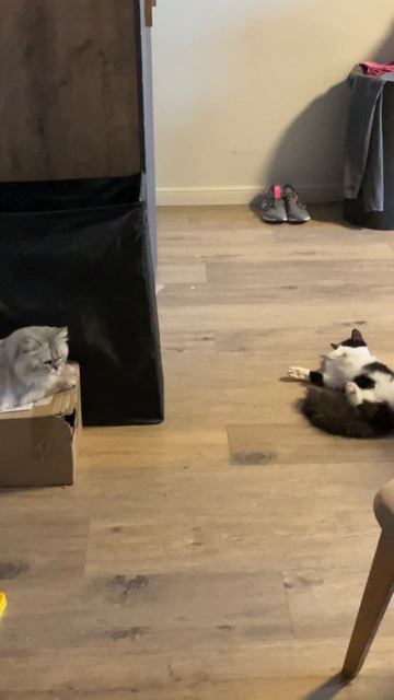 Делят место