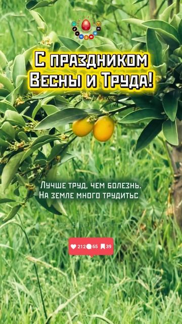 Лучше труд!..