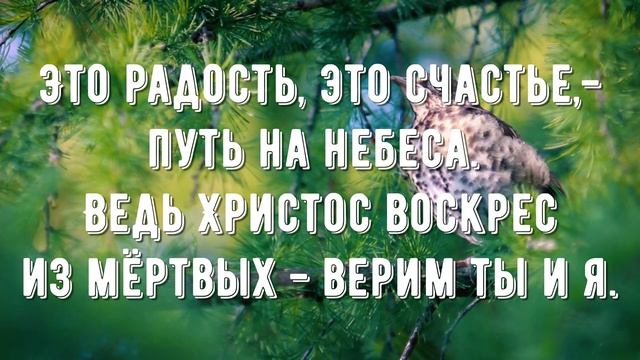 Возлюбил людей Спаситель - минус мой 2-1