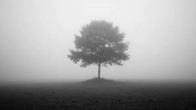 Музыка для сна