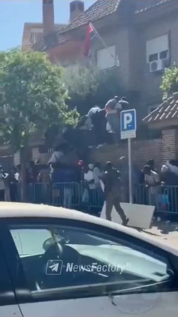 Хаос перед посольством Гамбии в Мадриде