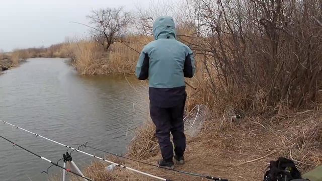 Рыбалка 2026г Икрянинский район #рыбалка ##астраханскаяобласть #карповаярыбалка