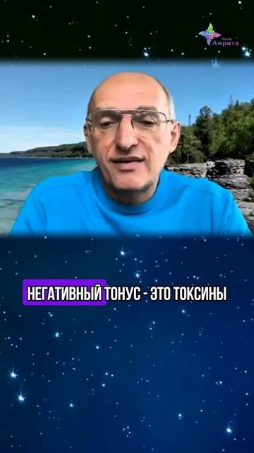 ✔️3 стадии поражения организма токсинами. Торсунов О. Г.