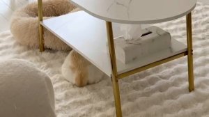 269 Спокойный 1 день, который можно провести с тремя кошками-домохозяйками 50-х годов, утро, обед,