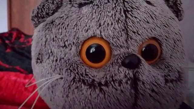 обновочка!😀 Басик опять заболел.?!😱