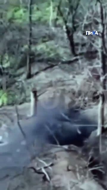 Новостной фронт