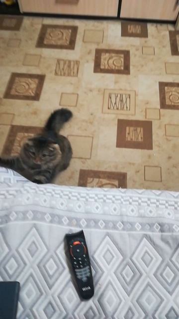 VID_20260430_160419.mp4