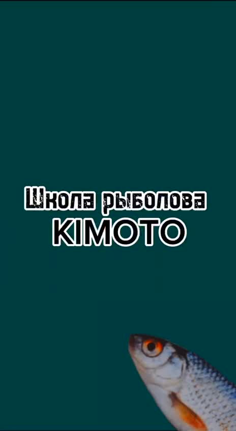 Из чего состоит безынерционная катушка?
