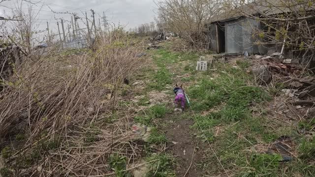 Прогулка с Джеффом по мини парку в Завидово (30.04.2026)