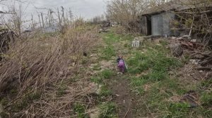 Прогулка с Джеффом по мини парку в Завидово (30.04.2026)
