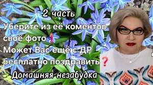 2 часть. Уберите своё фото из её коментов❗️Может Вас ещё и с ДР бесплатно поздравить❓️