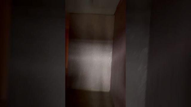 VID_20260430_224139