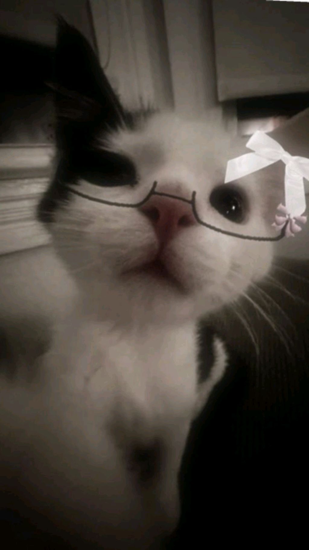 Слюшаю песни и пою