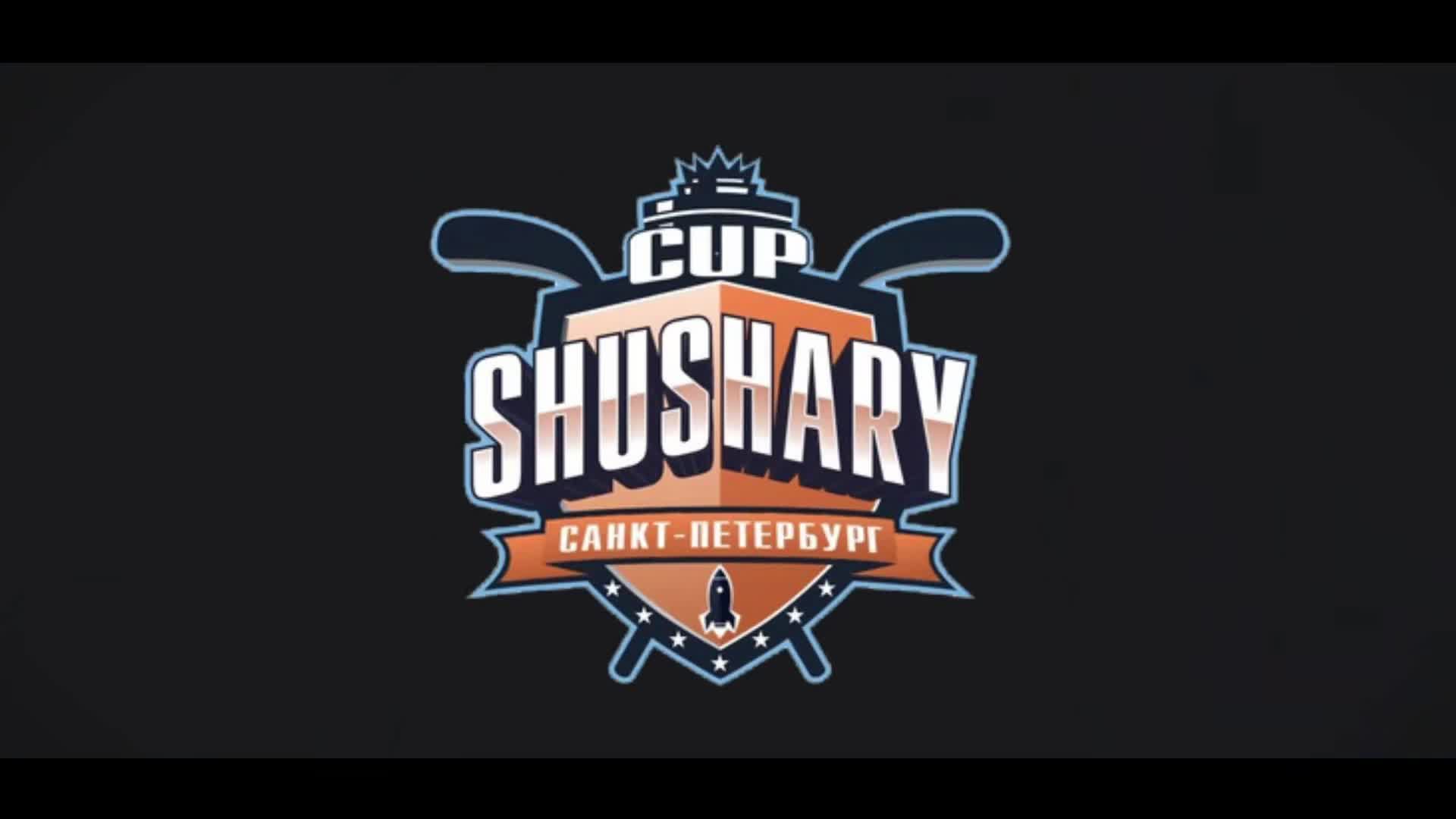 Матч №85 • Торнадо-16/17 — СКА-Серебряные Львы • Shushary Cup 2017-U9 • Балтик • 30.04.2026 в 14:00