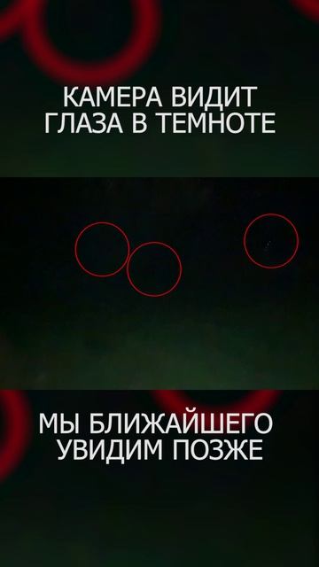 Окружили стая шакалов!