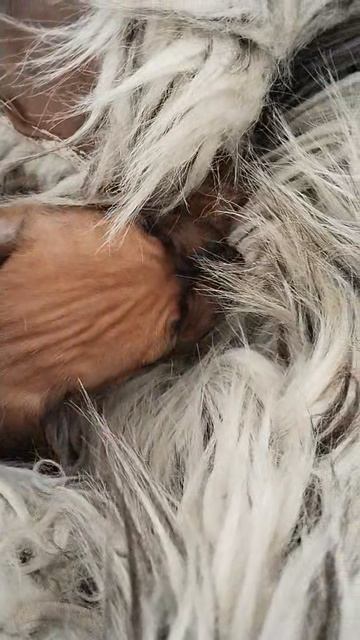 бутявка счастлива😊