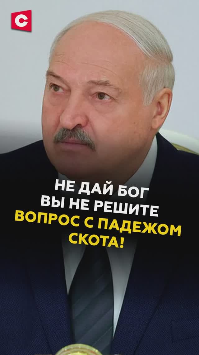 Лукашенко: Люди должны жить смело в своей стране!