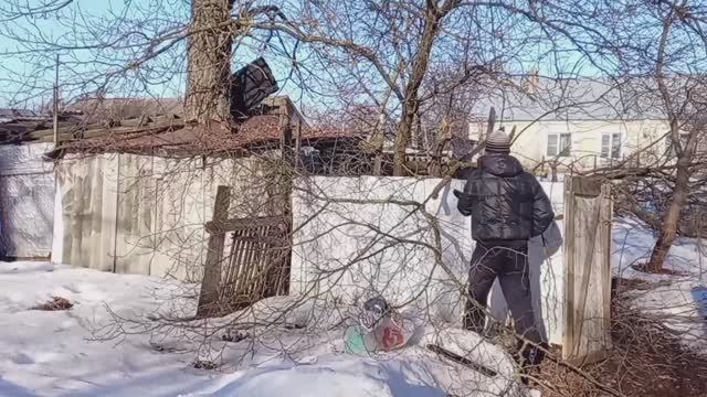 Спилили 4 сливы//от соседей ко мне в огород течёт с канализации.