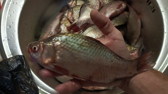 Питомза. Сумка для сбора морепродуктов