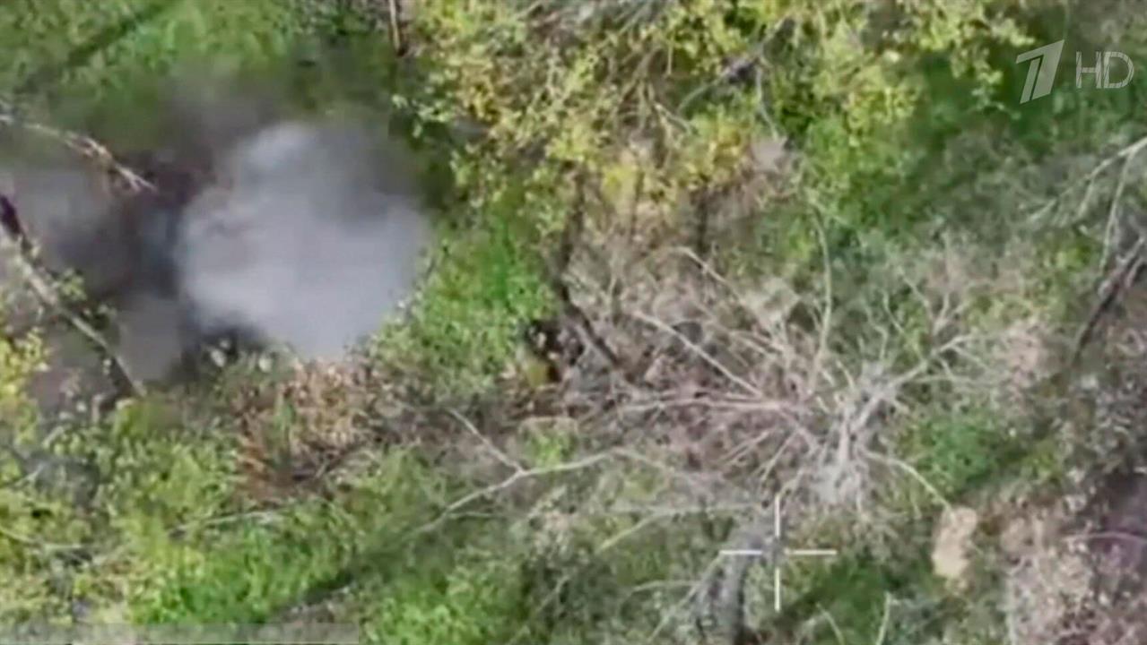 Российские войска освободили Новоалександровку в ДНР и взяли под контроль Корчаковку в Сумской об...