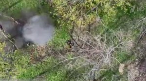 Российские войска освободили Новоалександровку в ДНР и взяли под контроль Корчаковку в Сумской обл.